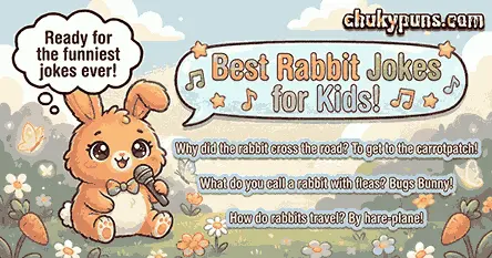 Best Rabbit Jokes for Kids